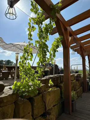 Ein Garten an der Unterkunft Haus zum Nöckel