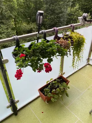 Ein Garten an der Unterkunft Die Welt zu Gast bei Freunden