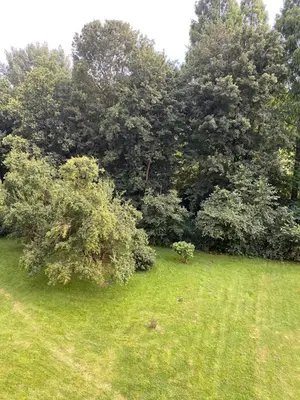 Ein Garten an der Unterkunft Die Welt zu Gast bei Freunden