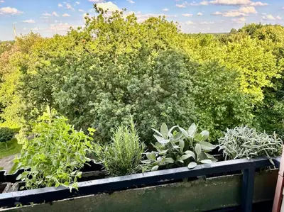 Ein Garten an der Unterkunft SuperSuite Boho 2Bdr Apartment Balkon Aufzug
