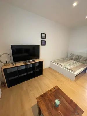 TV/Unterhaltungsangebot in der Unterkunft Apartment, parterre, für 3 Gäste, Zentral gelegen, Mitsubishi Halle
