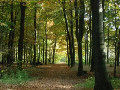 Naturlandschaft in der Nähe der Ferienwohnung