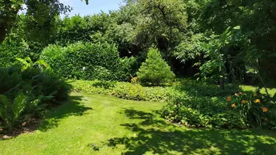 Ein Garten an der Unterkunft Ferienwohnung Exoten-Paradies im Garten Seggewiß - Tierfreie Nichtraucherwohnung in Raesfeld, Kreis Borken
