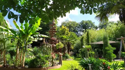 Ein Garten an der Unterkunft Ferienwohnung Exoten-Paradies im Garten Seggewiß - Tierfreie Nichtraucherwohnung in Raesfeld, Kreis Borken