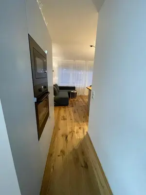 TV/Unterhaltungsangebot in der Unterkunft zentrales Appartement zwischen Messe und Altstadt