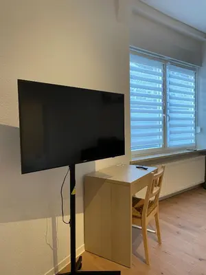 TV/Unterhaltungsangebot in der Unterkunft WhiteWood-Apartment - Nähe A43 - zentral - inkl WiFi