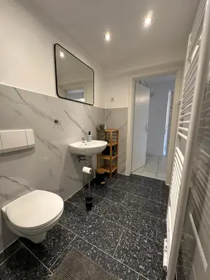 Ein Badezimmer in der Unterkunft 21-schickes, modernes Apartment am Volkspark in Herten-herzlich Willkommen!