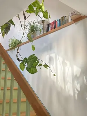 Grundriss der Unterkunft Das grüne Haus allein für Dich!