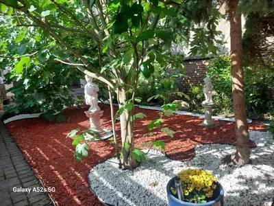 Ein Garten an der Unterkunft Atelier le Camp