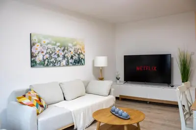 TV/Unterhaltungsangebot in der Unterkunft MODERN 2 ROOM Apartment in Rüttenscheid