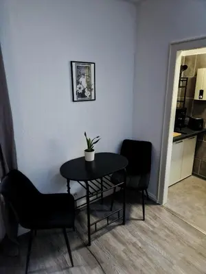 Küche/Küchenzeile in der Unterkunft Business Apartment am Bergmannsheil KH Wlan
