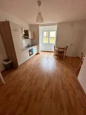 Küche/Küchenzeile in der Unterkunft Ferien- Monteurapartments nähe Veltins Arena