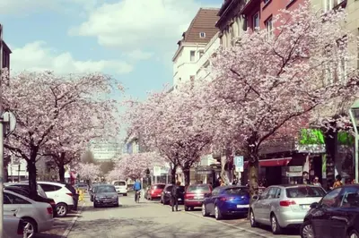 Die Umgebung um die Ferienwohnung