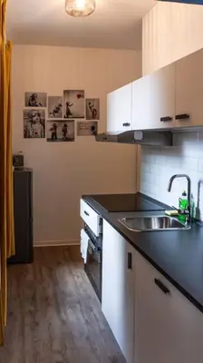 Küche/Küchenzeile in der Unterkunft Stylish apartment with terrace for up to 6 people
