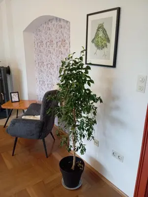 Ein Sitzbereich in der Unterkunft Wohnung im Grünen in Messenähe