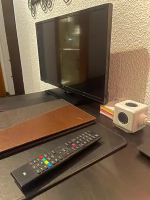 TV/Unterhaltungsangebot in der Unterkunft Parkhotel Essen