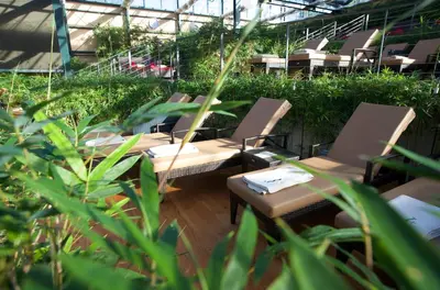 Ein Garten an der Unterkunft Jammertal Resort