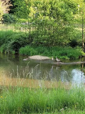 Grundriss der Unterkunft Ferienwohnung Landidyll, Whirlpool, Minipigs, Ponys, Familien