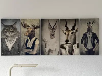 Tiere in der Ferienwohnung oder in der Nähe
