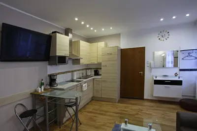 Küche/Küchenzeile in der Unterkunft SK Apartments - Liborius