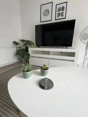 TV/Unterhaltungsangebot in der Unterkunft SAS Apartments