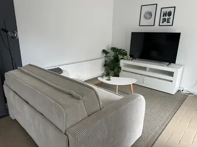 TV/Unterhaltungsangebot in der Unterkunft SAS Apartments