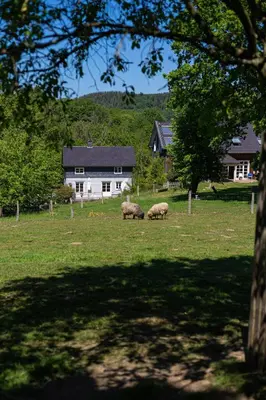 Naturlandschaft in der Nähe des Ferienhauses