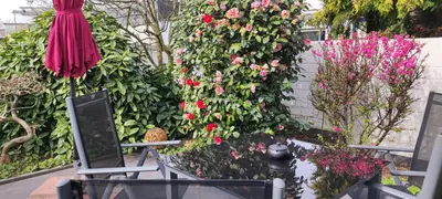 Ein Garten an der Unterkunft Moderne Doppelhaushälfte mit Süd-West-Terrasse