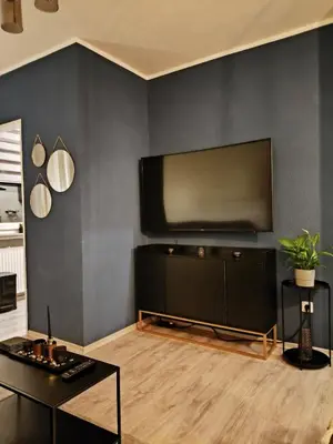 TV/Unterhaltungsangebot in der Unterkunft City Apartment Leonidas