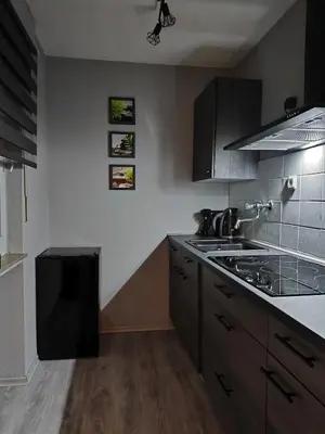 Küche/Küchenzeile in der Unterkunft City Apartment Leonidas