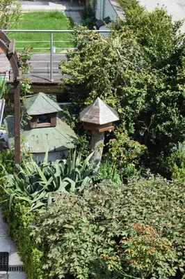 Ein Garten an der Unterkunft Ferienwohnung Wandelt