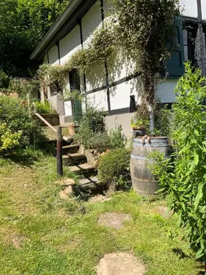 Ein Garten an der Unterkunft Historische Breidenmühle