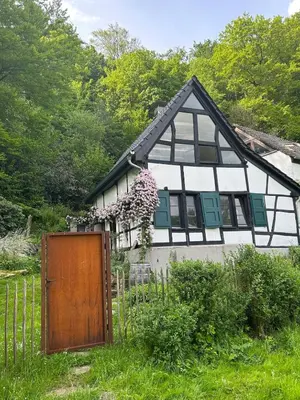 Ein Garten an der Unterkunft Historische Breidenmühle