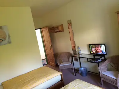 TV/Unterhaltungsangebot in der Unterkunft Hotel Reesenhof