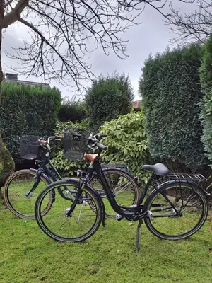 Radfahren an der Unterkunft Ferienwohnung Sternschnuppe oder in der Nähe