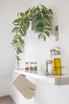 Grundriss der Unterkunft Helle und moderne Wohnung in Unna