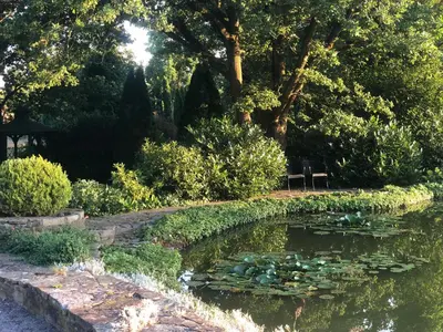 Naturlandschaft in der Nähe der Ferienwohnung