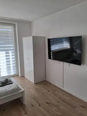 TV/Unterhaltungsangebot in der Unterkunft Haus Blankenagel 2