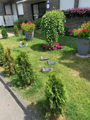 Ein Garten an der Unterkunft Studio 29