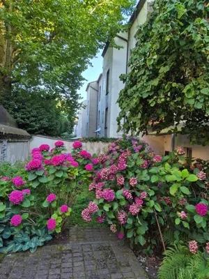 Ein Garten an der Unterkunft Apartment Karolina