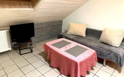 TV/Unterhaltungsangebot in der Unterkunft Ruhiges Apartment, Parkplätze & gute Anbindung City, Messe, Autobahn