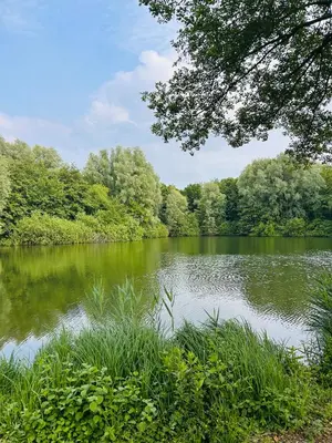 Grundriss der Unterkunft Apartment am See mit Dachterrasse