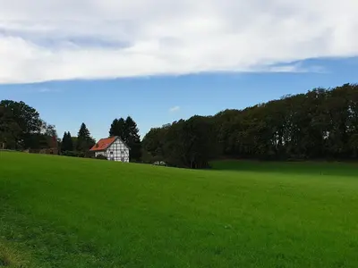 Naturlandschaft in der Nähe der Ferienwohnung
