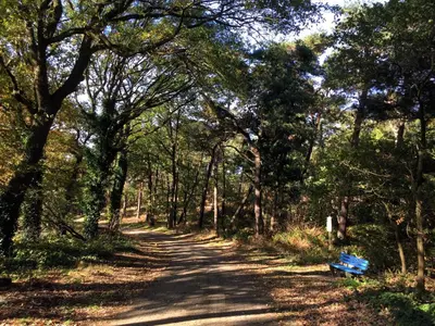 Naturlandschaft in der Nähe der Ferienwohnung