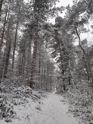Mamat Ferienwohnungen im Winter