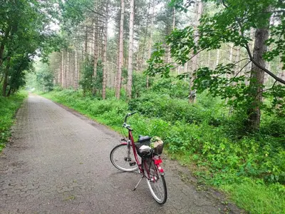 Radfahren an der Unterkunft Mamat Ferienwohnungen oder in der Nähe