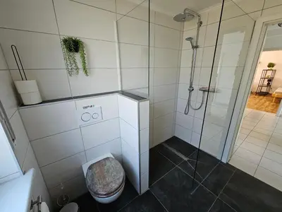 Ein Badezimmer in der Unterkunft Ferienwohnung In den Birgden