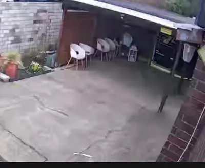 Ein Patio oder anderer Außenbereich in der Unterkunft Möb Apartment in Gladbeck