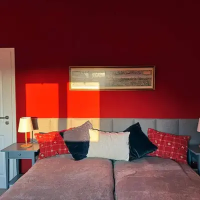 Big Premium Apartment with Rhine View