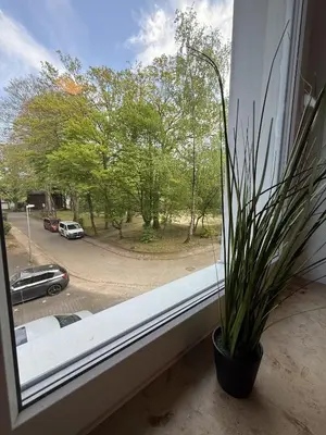 Ein Garten an der Unterkunft Ferienwohnung Evelyn